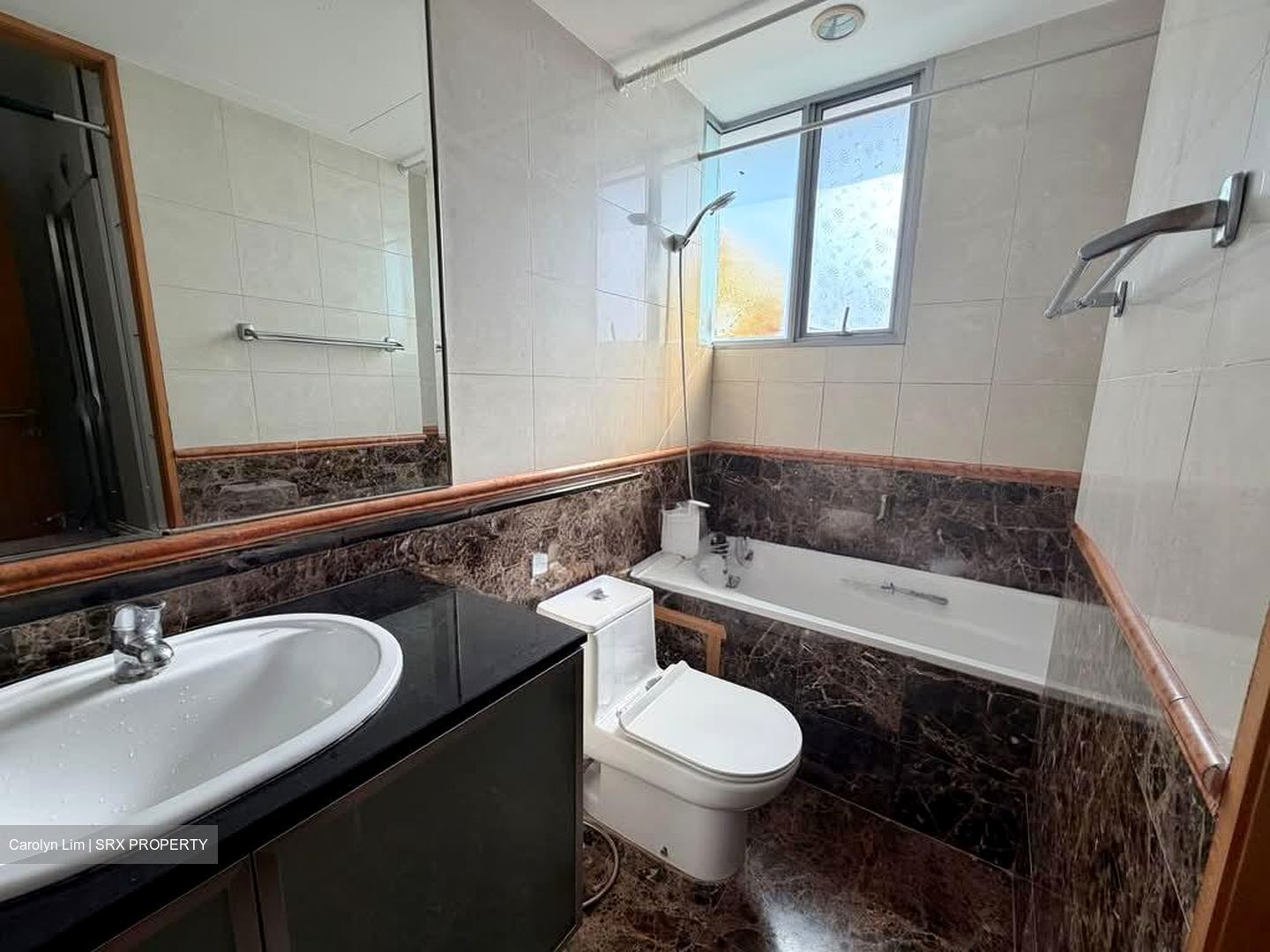 Thomson Euro-asia (D11), Condominium #537600821